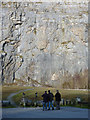 SD4972 : Bird watchers at Warton Crag Quarry by Karl and Ali