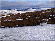 NJ2815 : Looking south from track junction on The Socach in The Ladder Hills, Strathdon by ian shiell