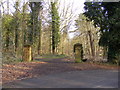 Footpath to the B1438 Yarmouth Road