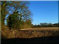 Northern edge of field by Hay Down Lane