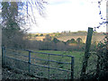 Pasture east of Furzedown Farm