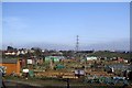 Bowers Gifford Allotments