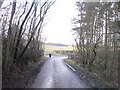 NT5824 : Road, Belses Moor by Richard Webb