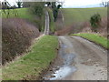 Gartree Road near Conduit Spinney