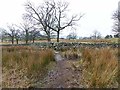 Footpath near Threlkeld