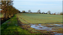 SO7729 : Footpath to Brierley farm by Jonathan Billinger