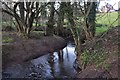 Mid Devon : Small Stream