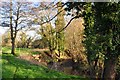 Mid Devon : Small Stream
