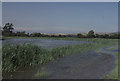 TQ0207 : River Arun, Warningcamp by Christopher Hilton