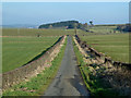 Farmland View at Martnaham Mains