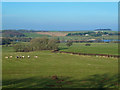 Farmland View at Martnaham Mains