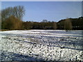 Snowy field south of Waterford Marsh