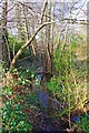 A stream in Spennells Valley Nature Reserve, Spennells, Kidderminster