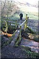 Crossing Crowton Brook