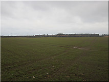 NU0048 : Arable field west of Scremerston by Graham Robson