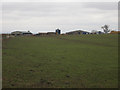 NT9549 : Looking towards West Longridge farm by Graham Robson