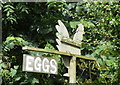 Eggs for Sale, Kingsgate, Calver - 2