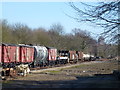 TL1597 : Railway wagons in Ferry Meadows Station, Peterborough by Richard Humphrey