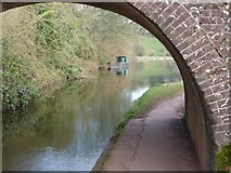 ST0013 : Mid Devon : The Grand Western Canal by Lewis Clarke