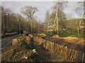 SX8770 : Tree clearance, St Marychurch Road by Derek Harper