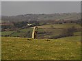 Standing stone near Nattadon Common