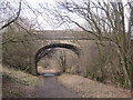 NY6752 : Old Railway Bridge, South Tyne Trail by Les Hull
