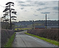 Palmers Lane heading towards Noseley