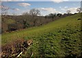 Field above Woodtown