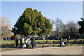 Garden near Millennium Fountain, Enfield