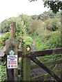 Footpath along river Wear at Cox Green