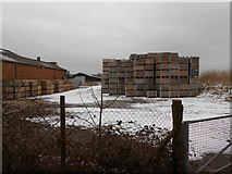 TQ7650 : Packhouse and Apple Crates, Loddington Farm by Danny P Robinson