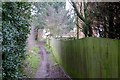 Path near Beacon Hill Farm