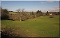 Pasture near Chagford