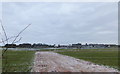 Stands at Market Rasen Race Course