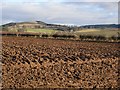 Ploughed field, Woodhead