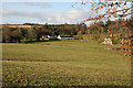 A big grazing field at Elliston