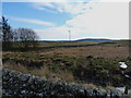 A wind turbine east of Shirmers Moss