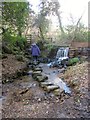 Stepping stones near Murchington