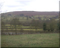 Farmland near Castleton Road