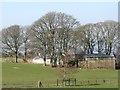 Cottage and outbuilding west of the Ballyvally Road