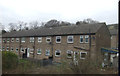 Houses, Brierley Park