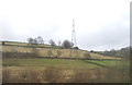 Farmland and pylon near Dolly Lane