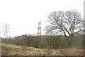 Woodland and pylons near Gowhole