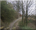 Path above the River Goyt, New Mills