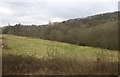 Farmland and woodland near Bredbury