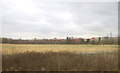 Farmland, Brinnington