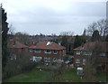 Houses on Hardon Grove