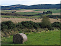 Fields south of Upperton