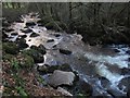 River Teign at Milfordleigh Plantation