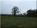 Farmland near Woodside Farm